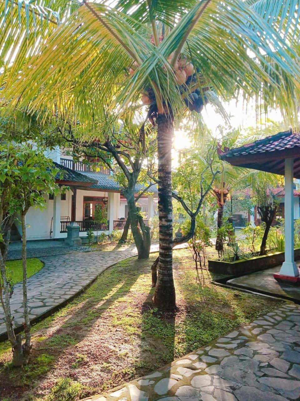 Rini Hotel 罗威那 外观 照片