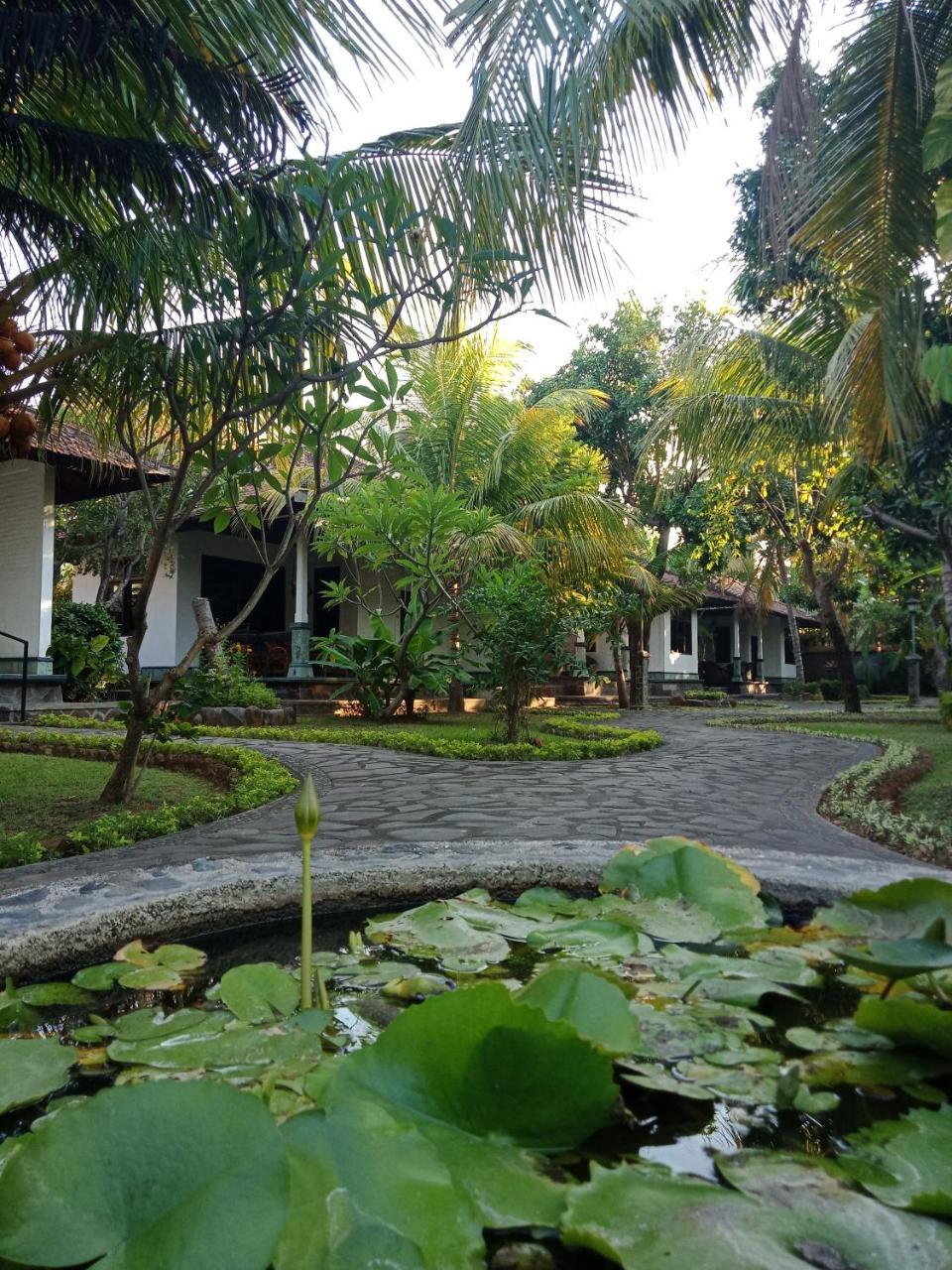 Rini Hotel 罗威那 外观 照片