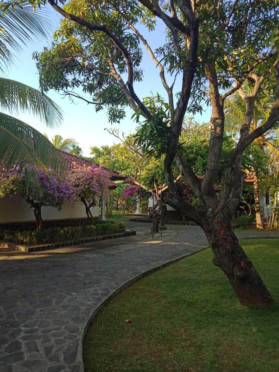 Rini Hotel 罗威那 外观 照片