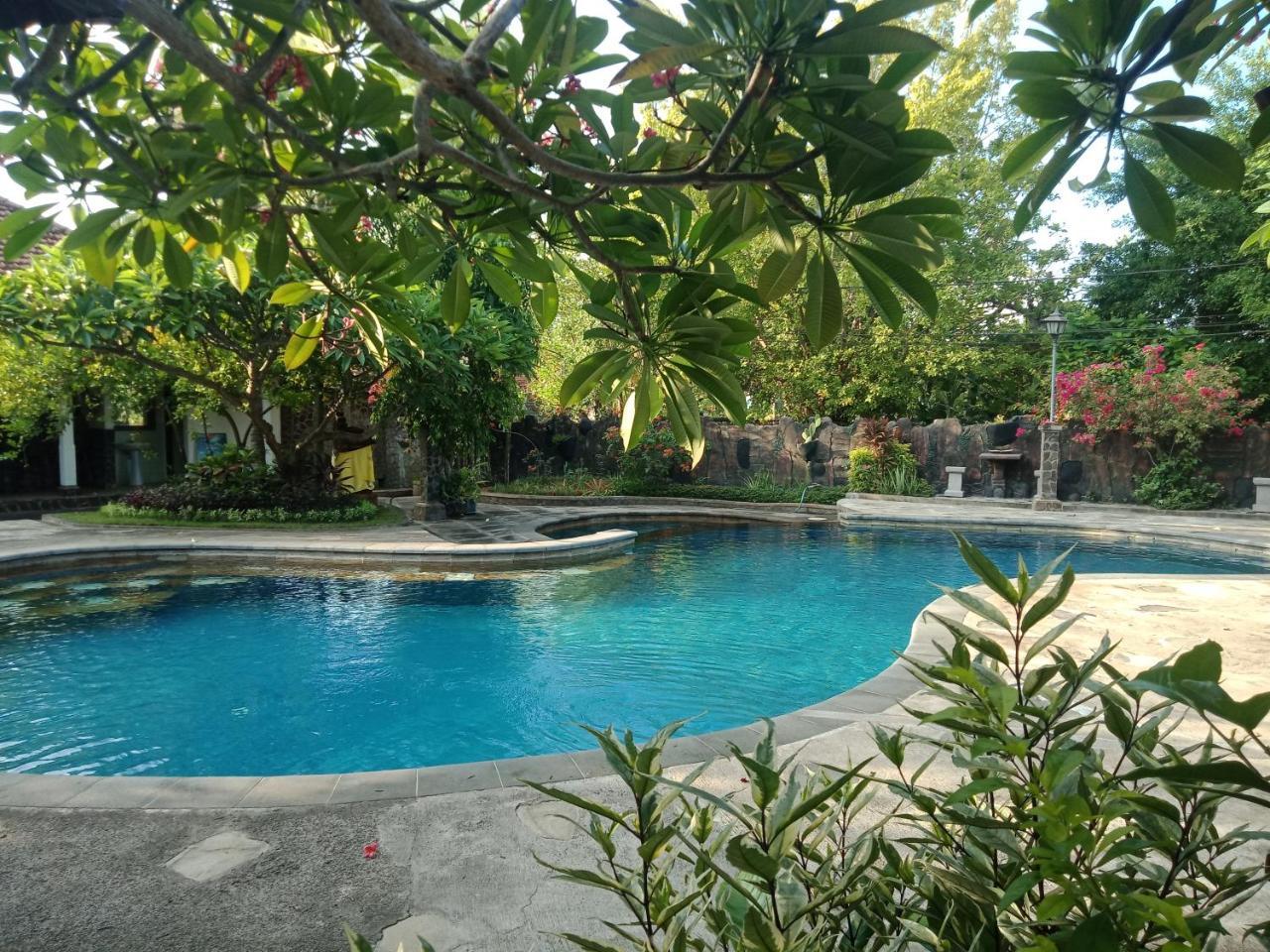 Rini Hotel 罗威那 外观 照片